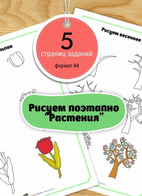 Учим ребенка рисовать поэтапно: «Растения»